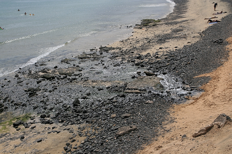 Kanary_2010 031